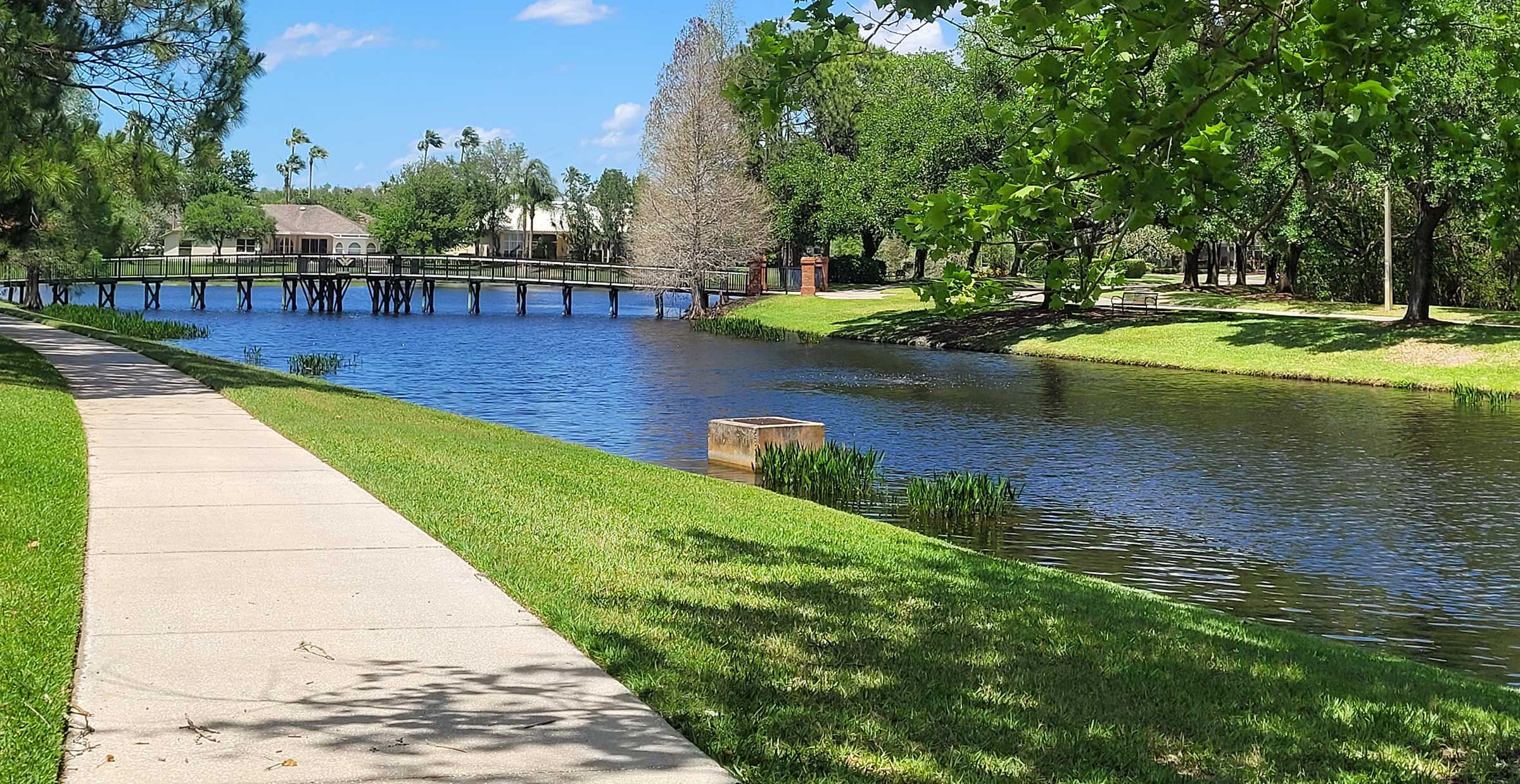 walking bridge over pond